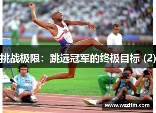 挑战极限：跳远冠军的终极目标 (2)